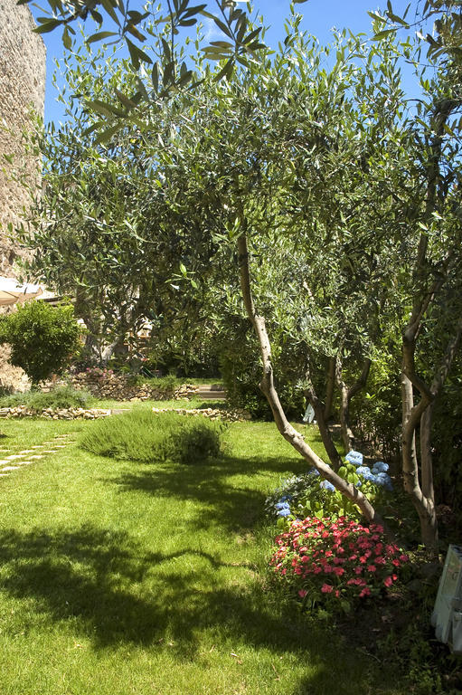 Locanda Delle Mura Anna De Croy Magliano in Toscana Ngoại thất bức ảnh